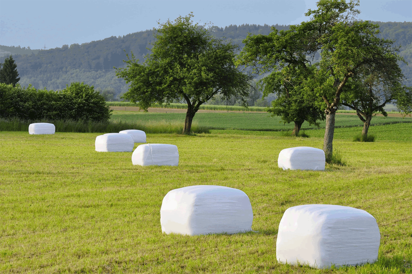 Heu- und Haylagefütterung