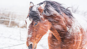 Frische Luft auch im Winter