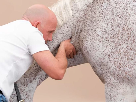 Einblick in die Biomechanik von Stefan Stammer
