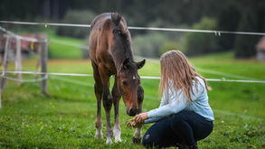 Viel Mist ganz gut verpackt