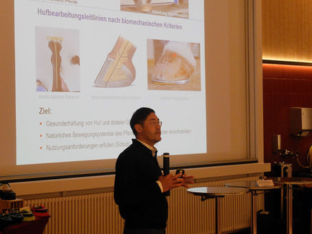 Erfolgreiches Symposium PFERDE 2018