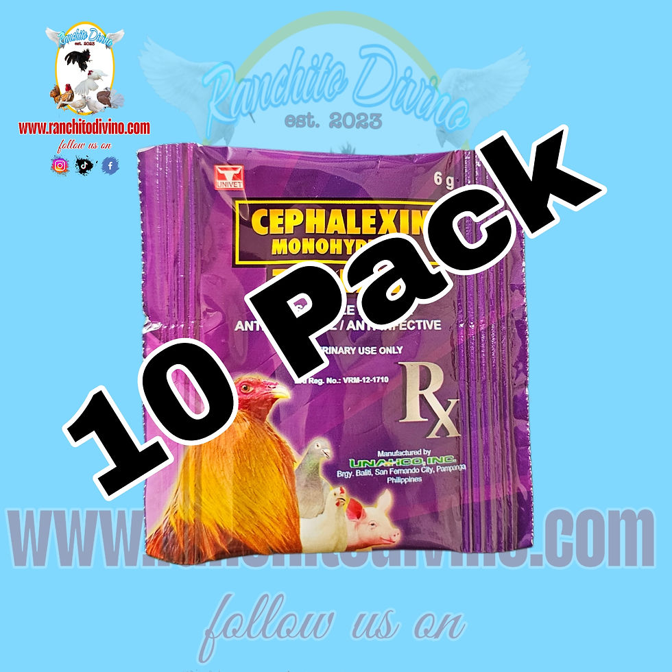 10 Pack of Zeflexin Soluble Powder 6g Sachet