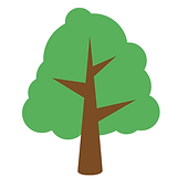 15 (2).png