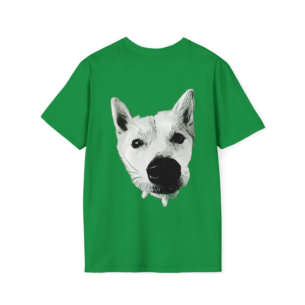 Thumbnail: NASH THE SHEBA INU