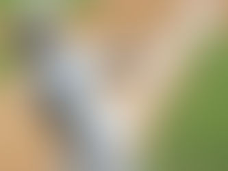 [비트코인벳 스포츠토토 커뮤니티] 박용택, 수술 위기 겨우 피했다. 타격 훈련 재개…복귀 플랜 가동
