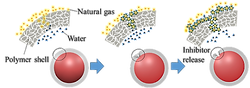 unnamed (2).png