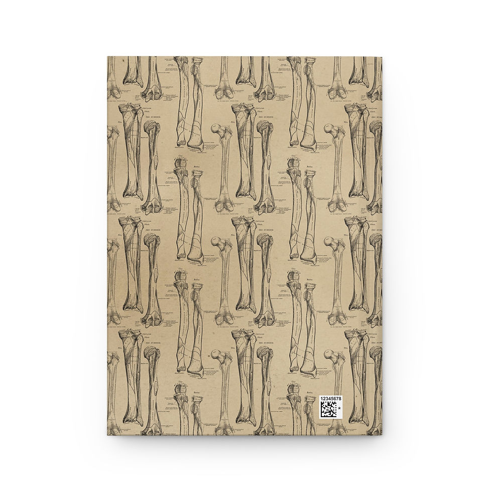 Miniatura: Leg Bone Hardcover Journal Matte