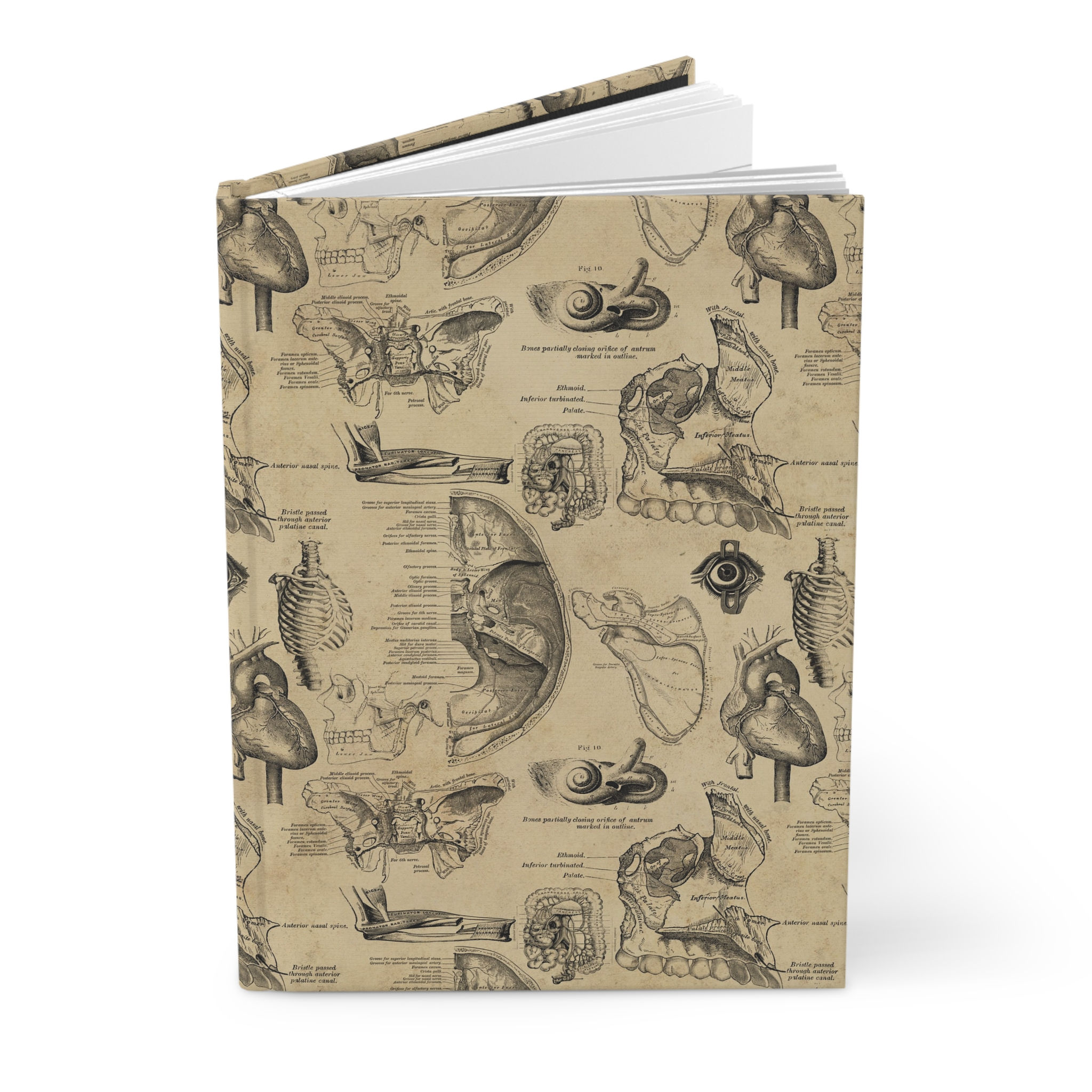 Vintage Anatomy Hardcover Journal Matte