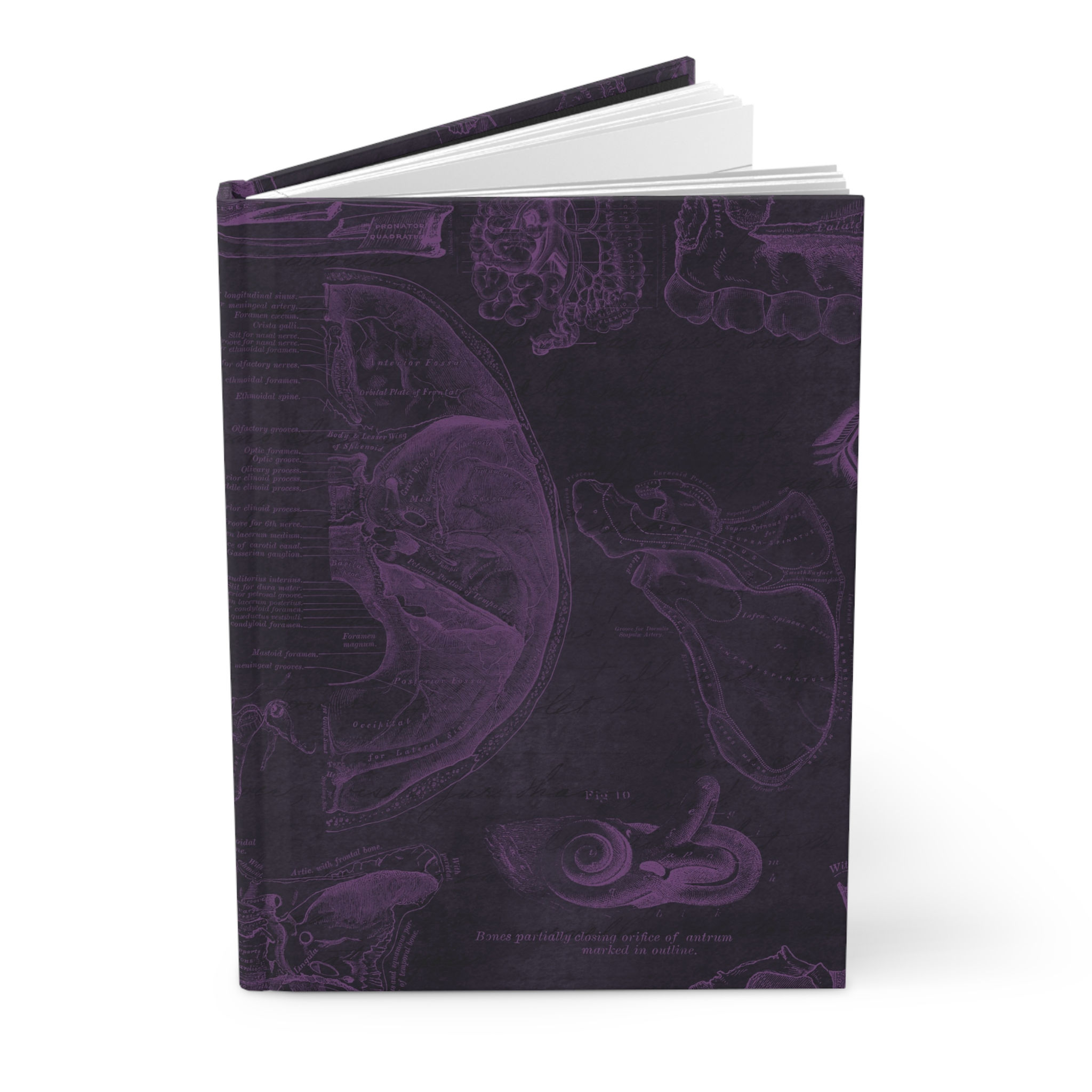 Vintage Anatomy 7 Hardcover Journal Matte