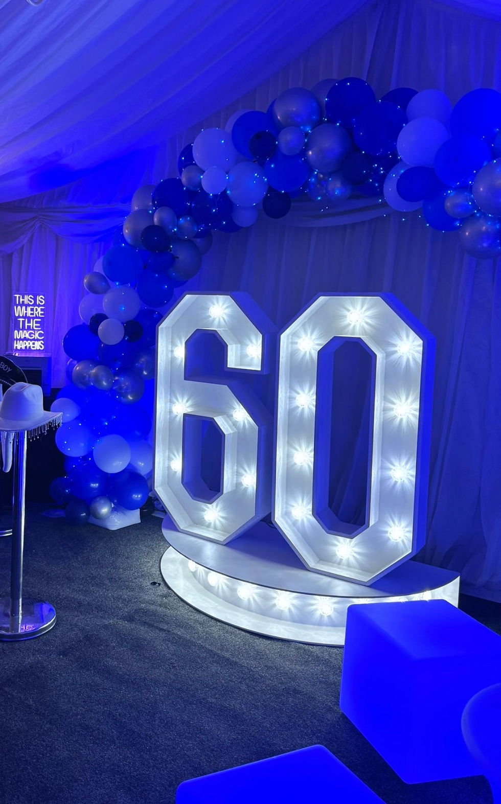 60 LED.jpg