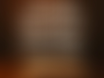 The Only Investment That Never Loses Value