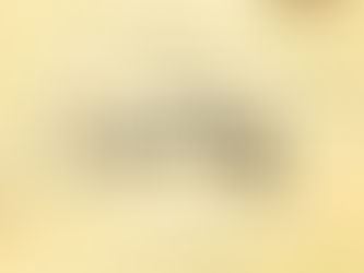 Focusing on What Matters Most