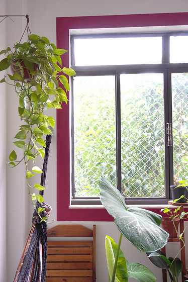 ideia de pintura na parede moldura na janela