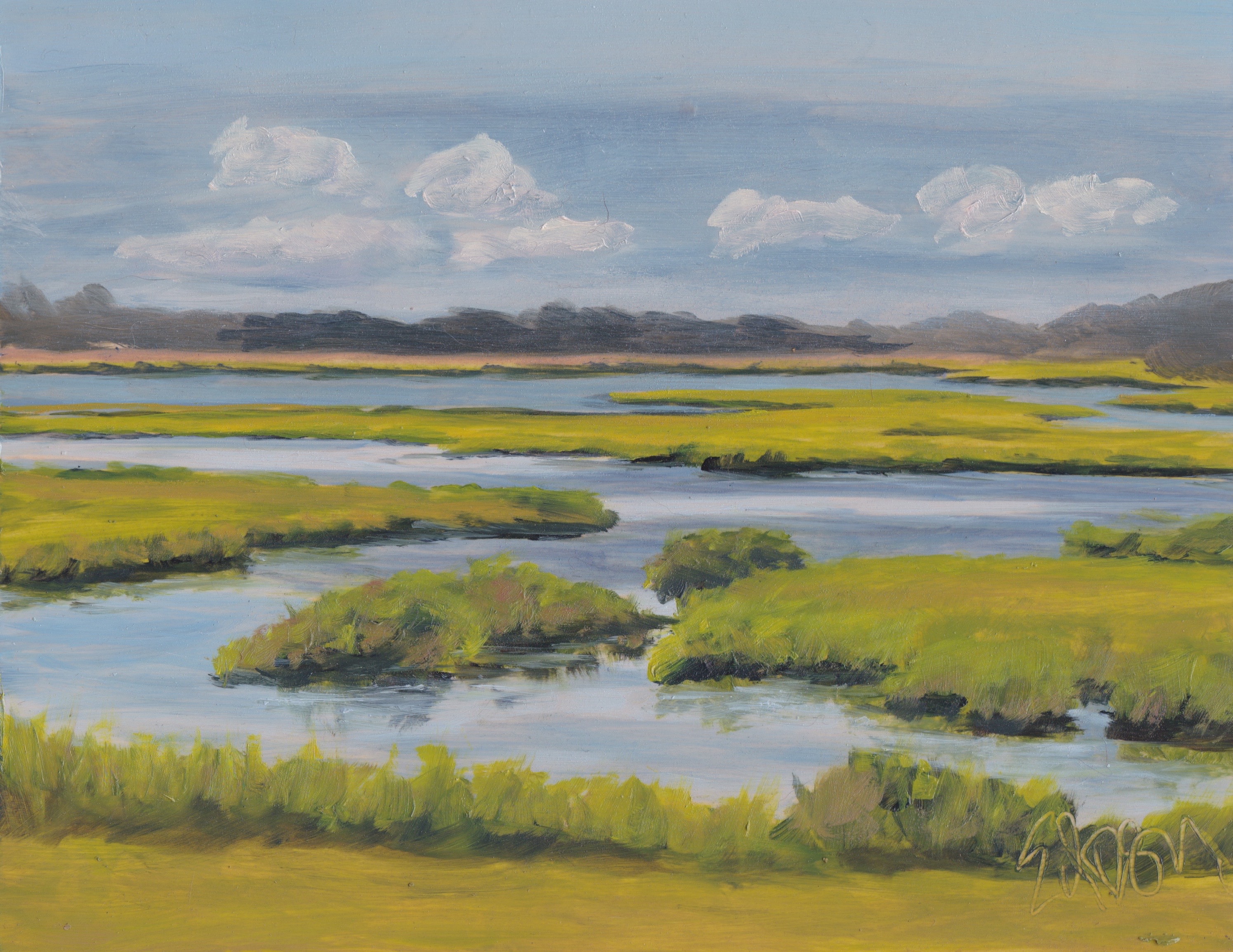 Marshes 8x10 201707