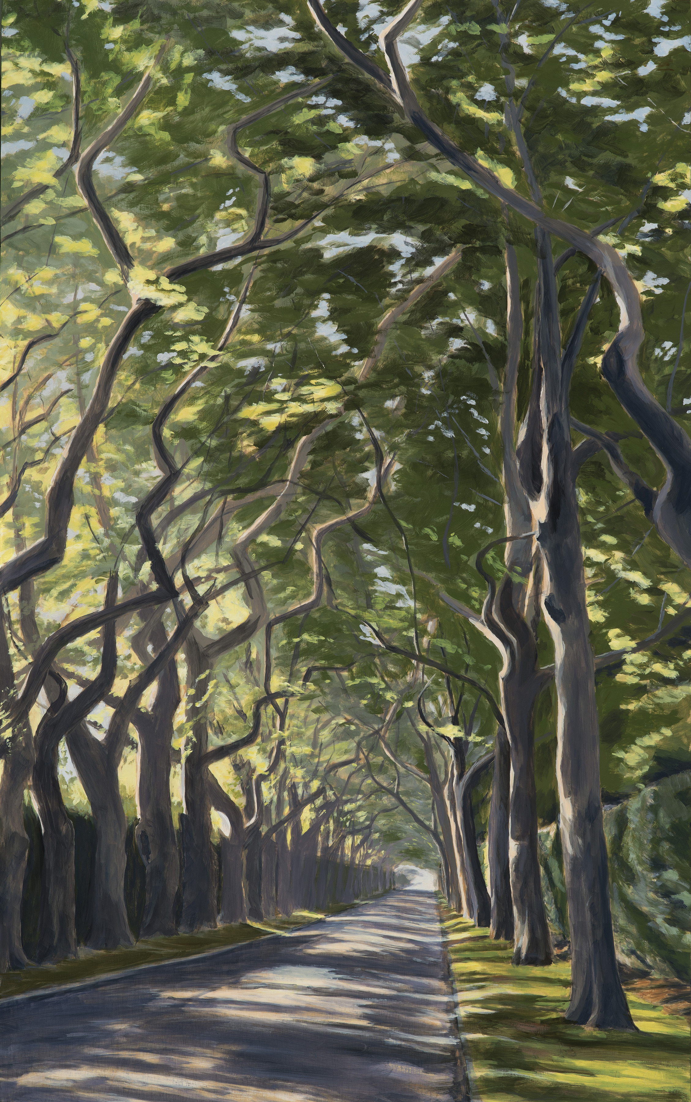 Summer Lane 48x30 201802