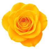 ChatGPT Image Aug 18, 2025, 12_48_01 AM_edited.png