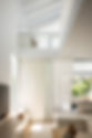 _ORCHID_argylest_034.jpg