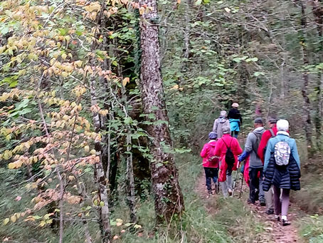 randonnée 14h du 9 octobre 2025 autour de Villevayre