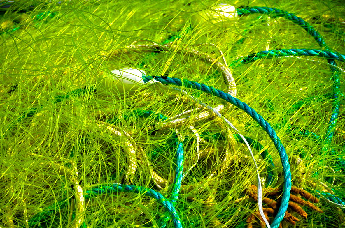 Filet jaune et cordage bleu
