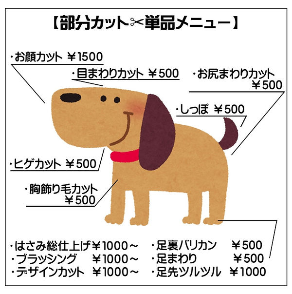 20230221_143231 (2)_edited.jpg