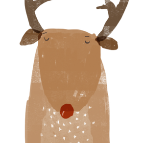 We're having our own 12 Days of Christmas Celebration!