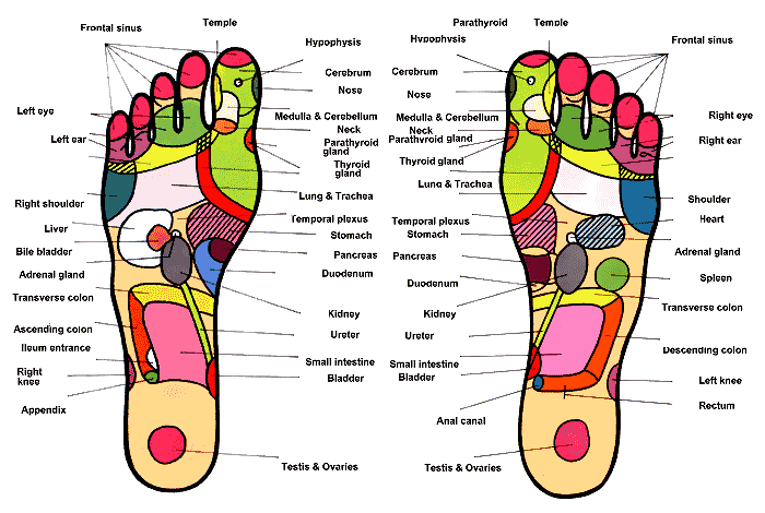 reflexology