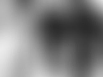 Spirituality Without Politics is Escapism. Politics Without Spirituality is Brutality.~Andrew Harvey