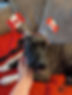 448939421_448266558063591_985241544575528675_n.jpg