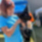 464698803_941324578032960_64061594681424917_n_edited.jpg