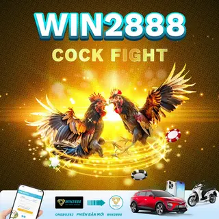 Win2888 Cock Fight