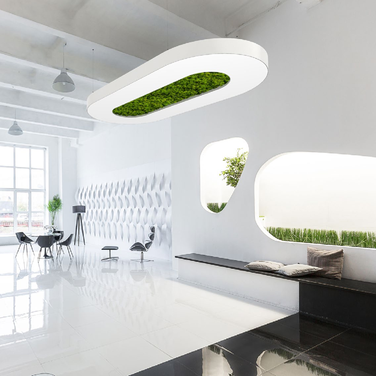 Polo Moss_ProtenFos Luminaries