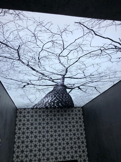 Printed Stretch Ceiling tree