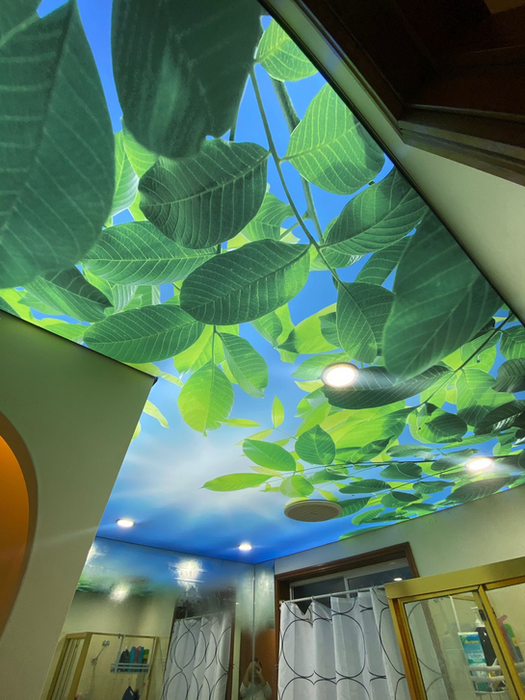 Printed Stretch Ceilings