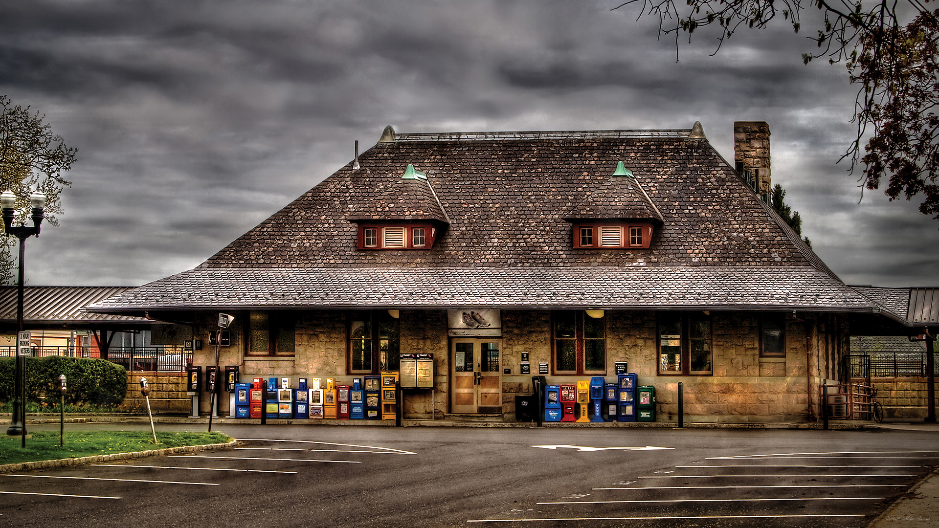 Image by Francesca Tosolini