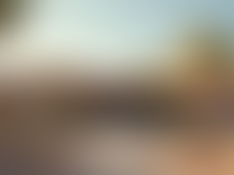 Exploring the Benefits of Home Watch Services