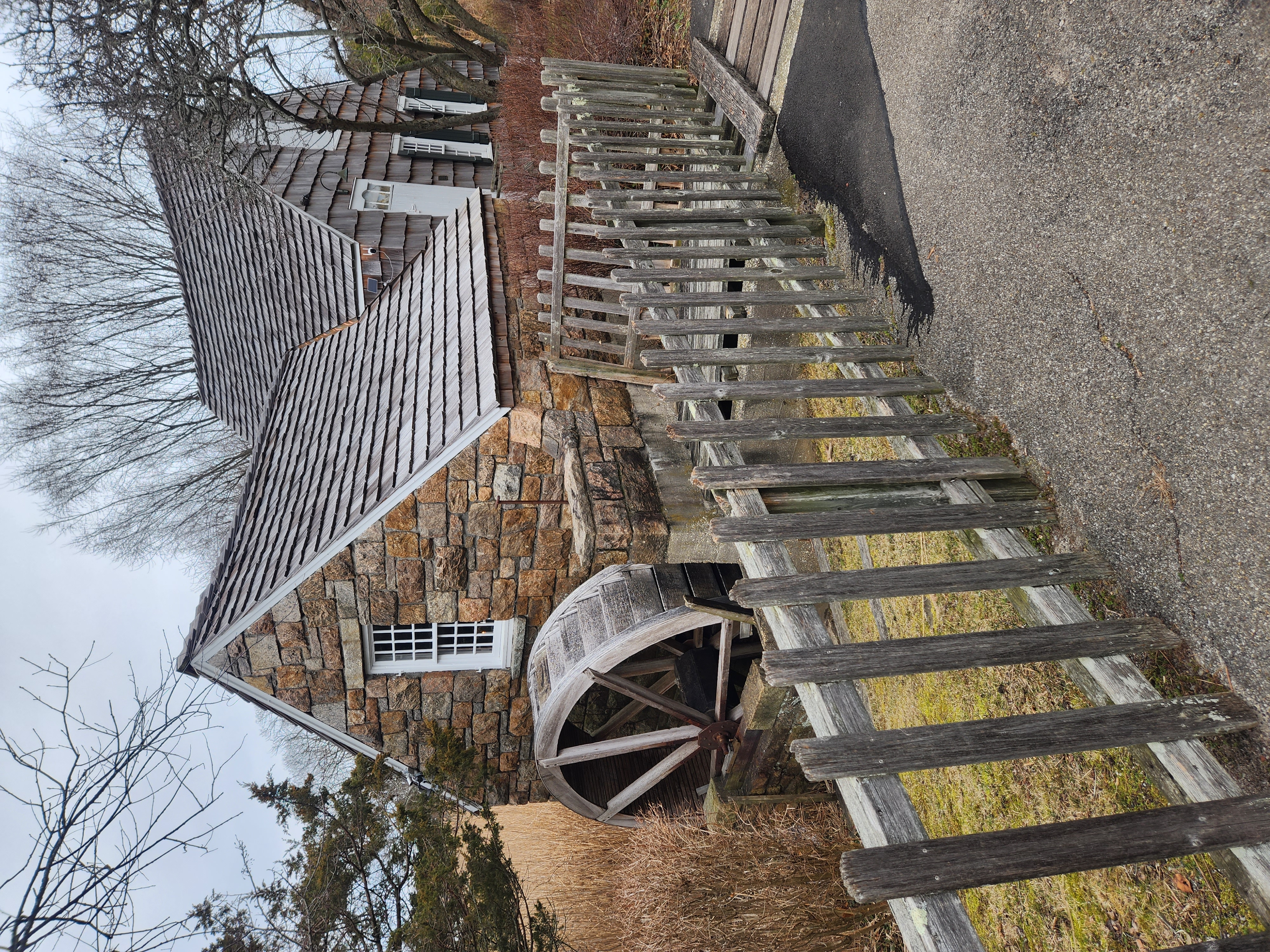 Image by Francesca Tosolini