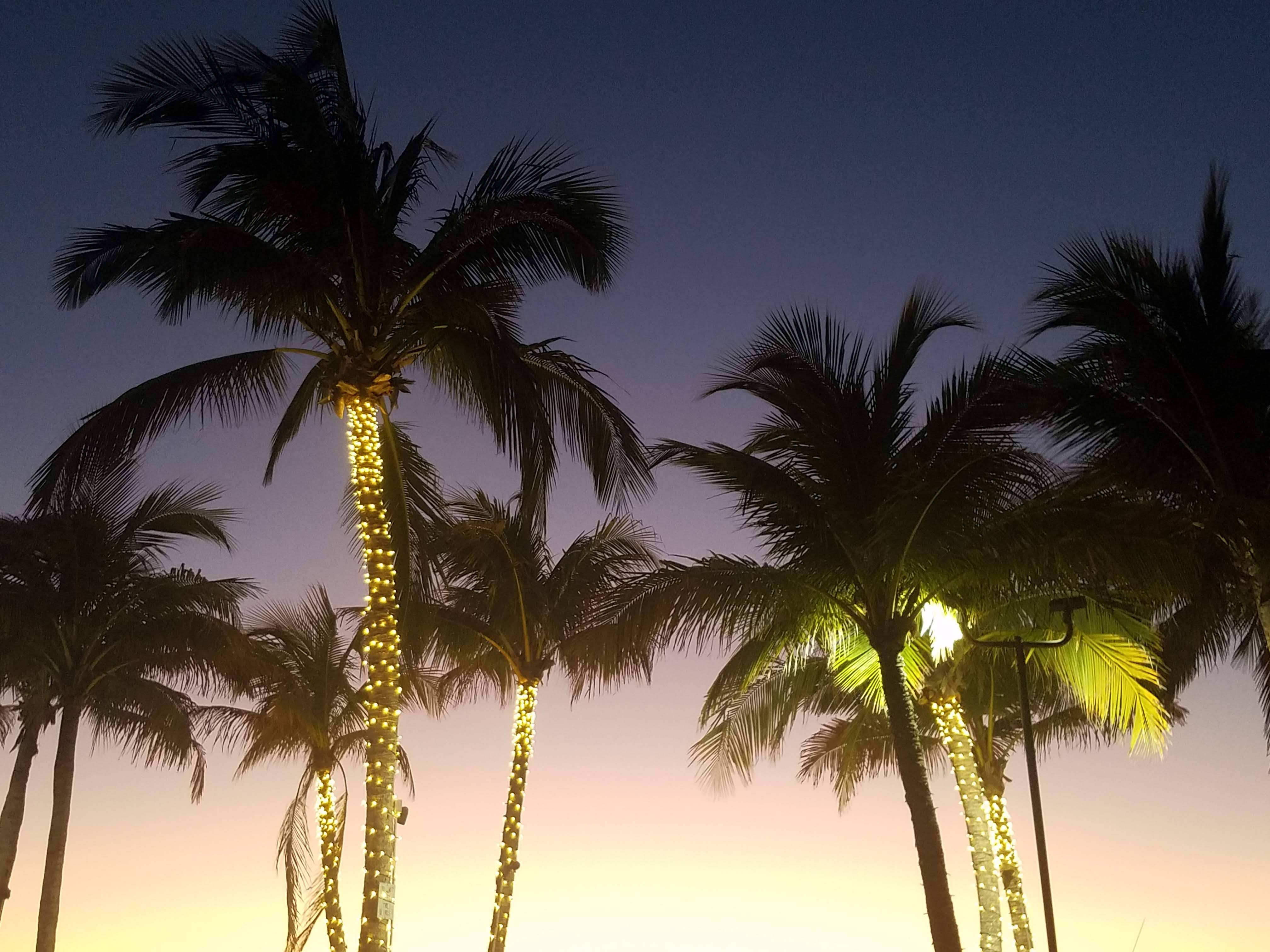 Image by Francesca Tosolini