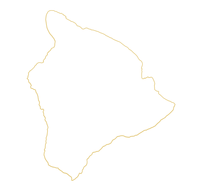 BI outline.png