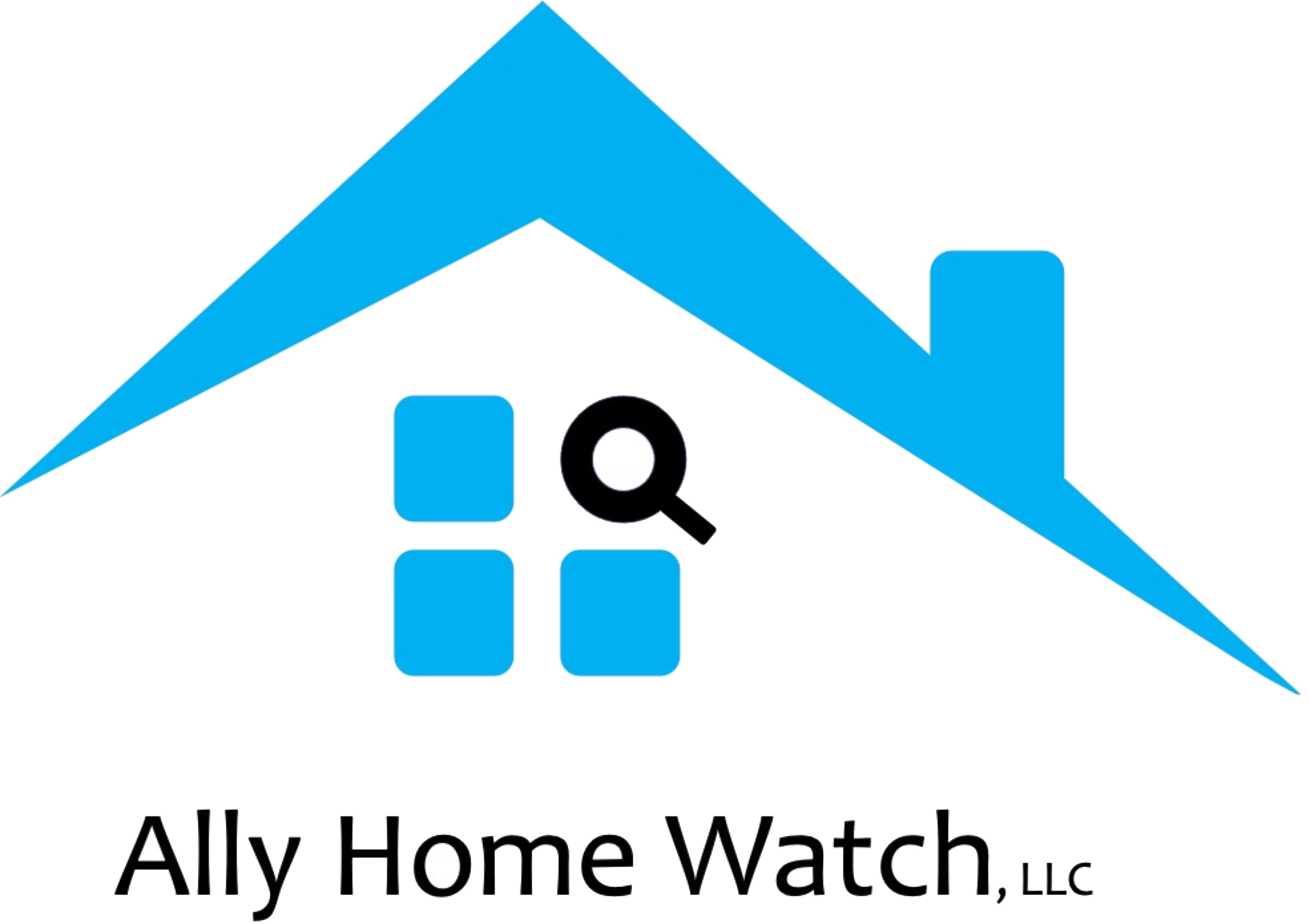 Ally Home Watch