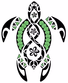 Terrapin Home Services