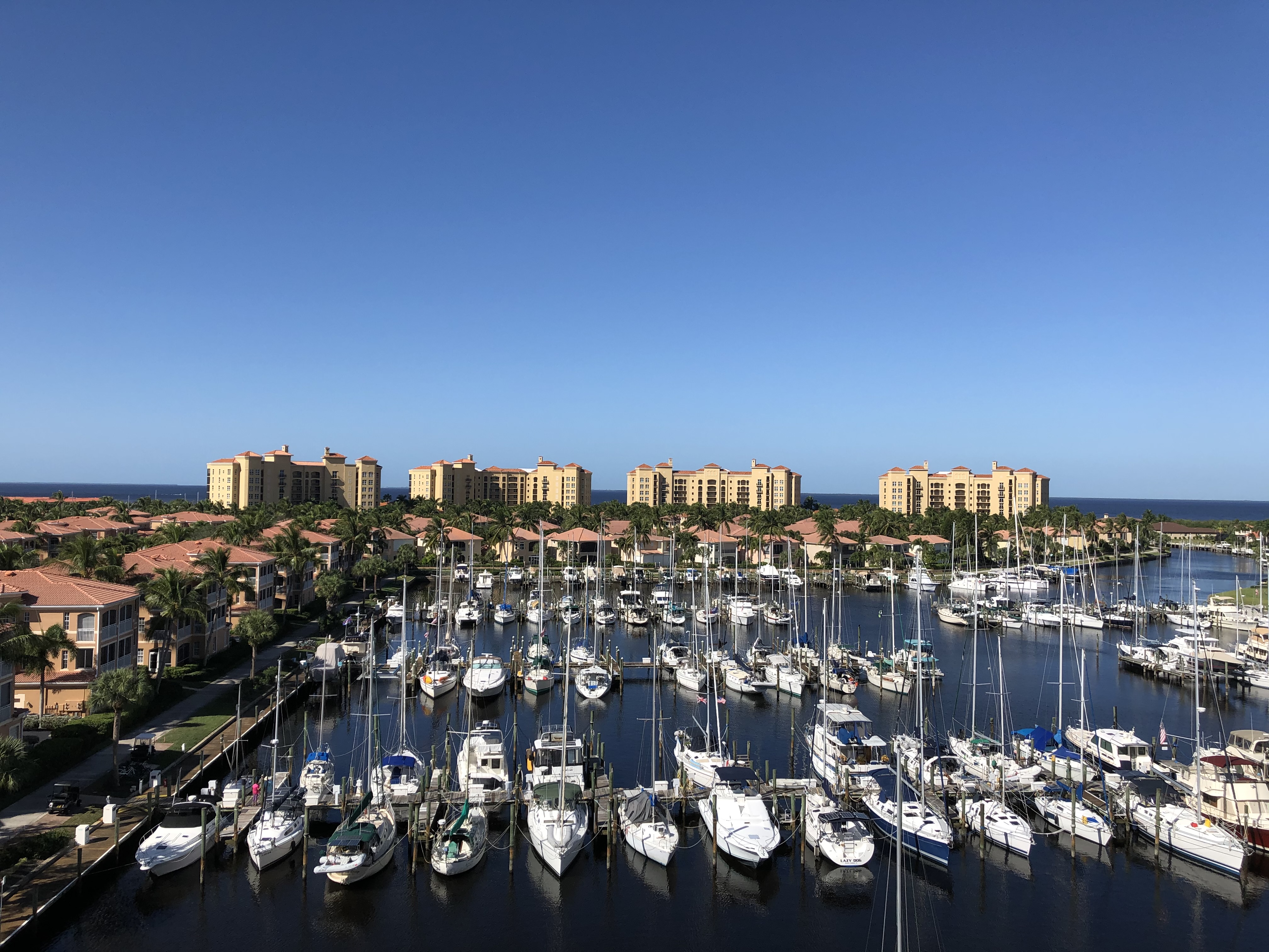 Image by Francesca Tosolini