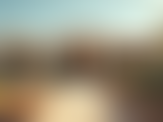 Why Scottsdale Home Watch Services Stand Out