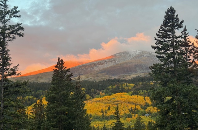 Image by Francesca Tosolini