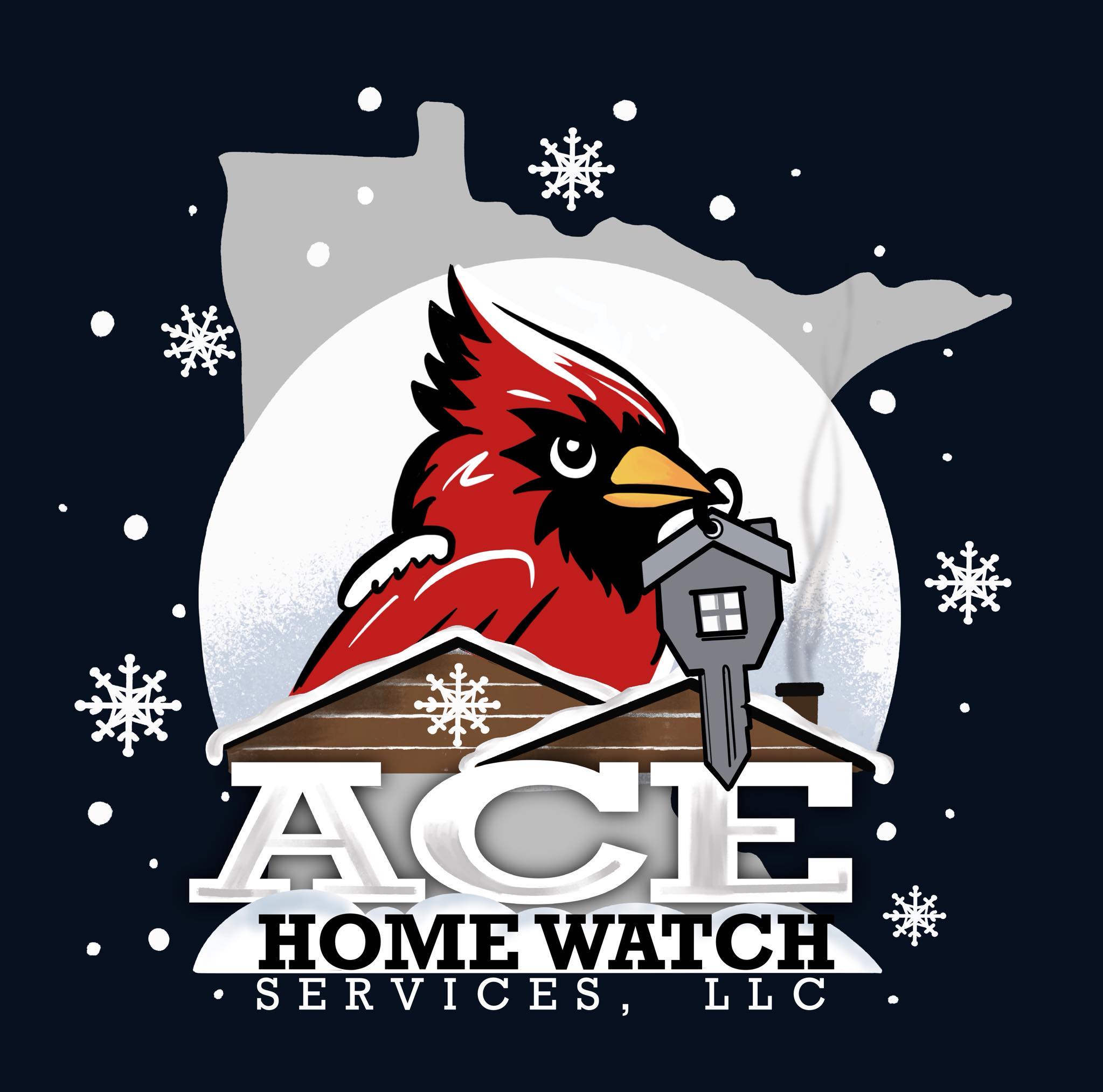 ACE HOME WATCH SERVICES LLC