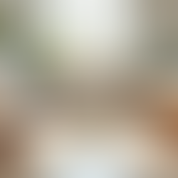 Demystifying the ADOS-2 