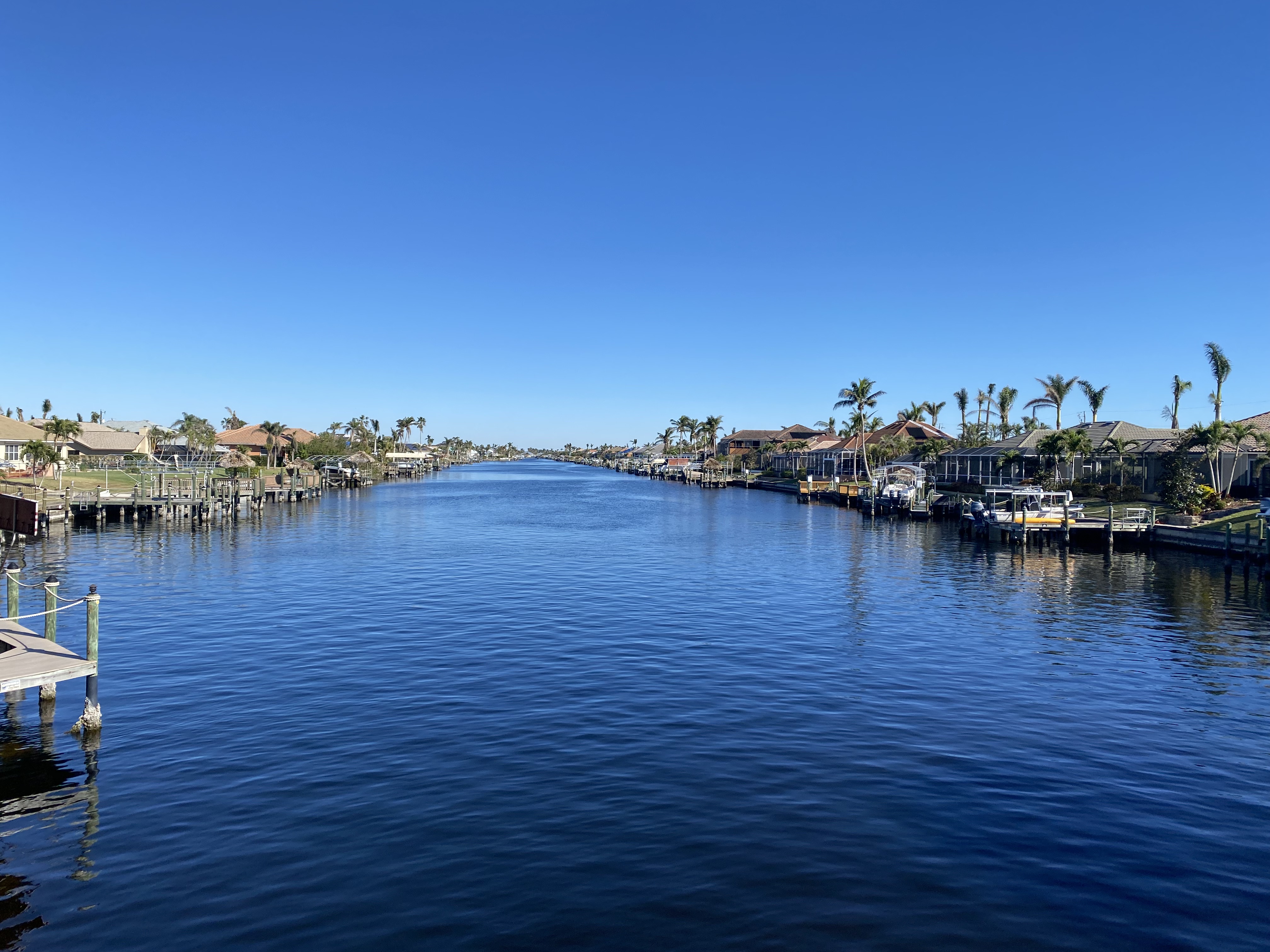 Image by Francesca Tosolini