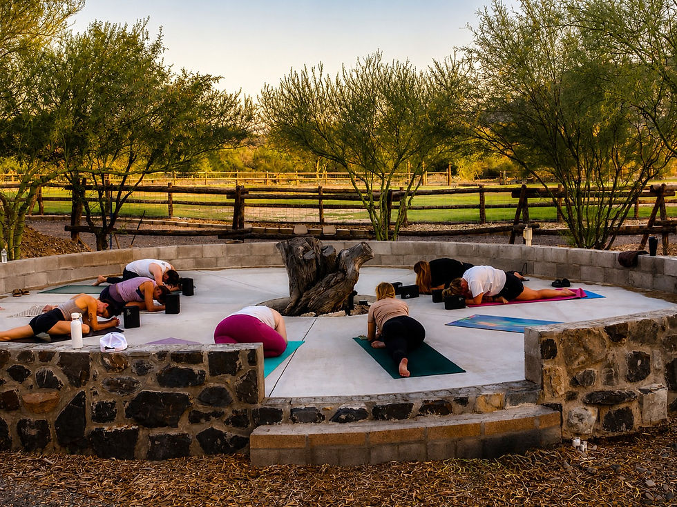 yogacrisp - Edited.jpg