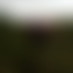 Callout 61 - 21st July 2019 - Prince William's Seat