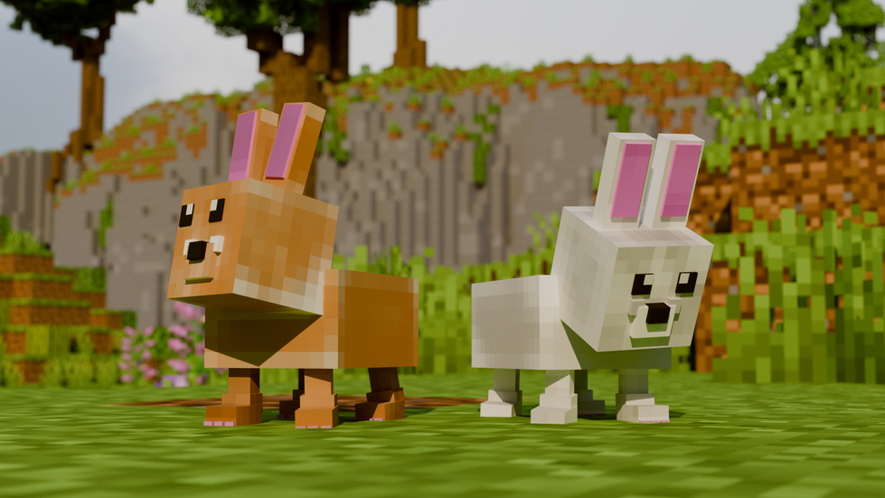 White and Brown Bunny