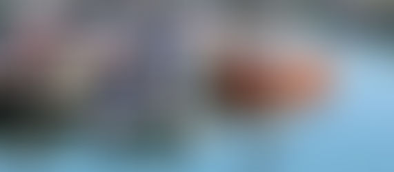 Welcome to Fundy Living's Blog